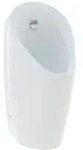 Geberit Urinal Preda f&uuml;r Unterputzsteuerung, sp&uuml;lrandlos, 66,5x31x37cm,