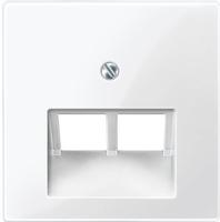 Merten Zentralplatte System M, 55x55mm, Kunststoff, Polarwei&szlig; gl&auml;nzend 296119