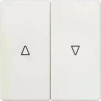 Siemens 5TG6214, Siemens Wippe 2fach DELTA i-system mit Symbol Auf/Ab 55x55mm