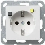 Gira FI-Schutzsteckdose System 55, 30mA, Reinwei&szlig; gl&auml;nzend, 267703 267703