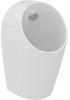 Ideal Standard Urinal Sphero Midi, Zulauf hinten, 300x300x550mm, Weiß E183101
