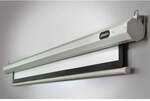 celexon Leinwand Motor Economy 300 x 169 cm