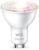 WiZ 50W GU10 Spot Tunable White & Color Einzelpack