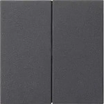 Gira 537028 Wippe 2-fach unbedruckt, System 55, anthrazit