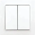 Eltako F4T55E-wg Funktaster 55x55mm batterie- und leitungslos mit Doppelwippe