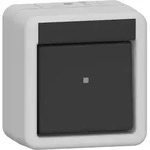 Gira 310630 Wippschalter Aus-Wechselschalter, WG Aufputz, grau