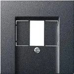 Gira 027628 Abdeckung TAE USB, System 55, anthrazit