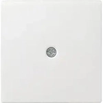 Gira 027403 Abdeckung Schnurableitung und Fernmeldeverbinderdose, System 55,