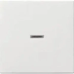 Gira 029003 Wippe mit Kontrollfenster, System 55, reinwei&szlig; gl&auml;nzend