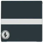 Busch-Jaeger 2118 GKSLN/11-35 Zwischenring mit Klappdeckel, IP44