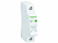 SCHNEIDER ELECTRIC Schneider R9F24110 Leitungsschutzschalter 1polig, 10A,