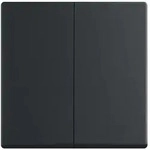 Busch-Jaeger 6736 FoH-885 Wippe 2-fach f&uuml;r Smart Switch Einsatz, schwarz matt