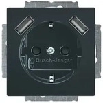 Busch-Jaeger 20 EUCB2USB-81 Schutzkontakt-/USB-Steckdose, 2x USB, mit
