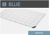 SPESSARTTRAUM Daunenbettdecke "Blue" leicht F&uuml;llung 60Daunen40Federn 1 Stk....