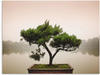 Wandbild ARTLAND "Chinesischer Bonsaibaum" Bilder Gr. B/H: 120 cm x 90 cm,