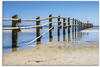 Leinwandbild ARTLAND "Ostseeküste auf dem Fischland-Darß" Bilder Gr. B/H: 60 cm x
