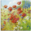 Artland Wandbild "Sommerwiese mit Mohnblumen", Blumenwiese, (1 St.), als...