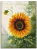 Leinwandbild ARTLAND "Sonnenblume" Bilder Gr. B/H: 60 cm x 80 cm, Blumen, 1...