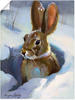 Artland Wandbild "Schneehase", Wildtiere, (1 St.), als Leinwandbild, Poster in