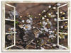 Wandbild ARTLAND "Fensterblick - Kirschblüten mit Amsel" Bilder Gr. B/H: 80 cm...
