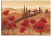 Wandbild ARTLAND "Mohnblumen in der Toskana" Bilder Gr. B/H: 70 cm x 50 cm,