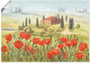 Artland Poster "Mohnwiese in der Toskana", Europa, (1 St.), als Alubild,