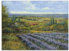 Wandbild ARTLAND "Lavendelfelder in der Provence" Bilder Gr. B/H: 120 cm x 90...