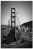 Wandbild ARTLAND "San Francisco Golden Gate Bridge" Bilder Gr. B/H: 60 cm x 90...