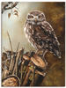 Wandbild ARTLAND "Eule" Bilder Gr. B/H: 45 cm x 60 cm, Leinwandbild Vögel