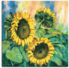 Leinwandbild ARTLAND "Sonnenblumen II" Bilder Gr. B/H: 70 cm x 70 cm, Blumen