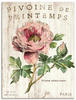 Artland Wandbild "Pfingstrose", Blumen, (1 St.), als Leinwandbild, Poster,