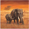 Artland Wandbild "Elefanten II", Wildtiere, (1 St.), als Alubild, Outdoorbild,