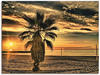 Wandbild ARTLAND "Palme bei Sonnenuntergang" Bilder Gr. B/H: 60 cm x 45 cm,
