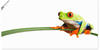 Artland Wandbild "Frosch auf einem Blatt", Wassertiere, (1 St.), als Alubild,