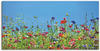 Wandbild ARTLAND "Blumenwiese II" Bilder Gr. B/H: 100 cm x 50 cm, Leinwandbild