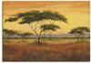 Wandbild ARTLAND "Afrikalandschaft" Bilder Gr. B/H: 70 cm x 50 cm, Leinwandbild