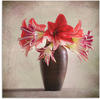 Artland Wandbild "Amaryllis Vintage II", Blumen, (1 St.), als Alubild, Outdoorbild,