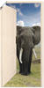 Artland Wandbild "Offene weiße Türe mit Blick auf Elefant", Wildtiere, (1...