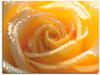 Wandbild ARTLAND "Gelbe Rose Makro" Bilder Gr. B/H: 80 cm x 60 cm, Leinwandbild