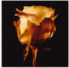 Artland Wandbild "Vergoldete Rose", Blumen, (1 St.), als Leinwandbild, Poster in