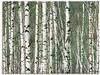 Wandbild ARTLAND "Birkenwald - Bäume" Bilder Gr. B/H: 80 cm x 60 cm,...
