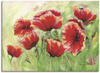 Wandbild ARTLAND "Rote Mohnblumen II" Bilder Gr. B/H: 70 cm x 50 cm,...