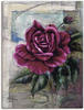 Wandbild ARTLAND "Rose II" Bilder Gr. B/H: 60 cm x 80 cm, Leinwandbild Blumen,...