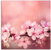 Wandbild ARTLAND "Kirschblüten" Bilder Gr. B/H: 100 cm x 100 cm, Leinwandbild...