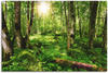 Wandbild ARTLAND "Wald" Bilder Gr. B/H: 90 cm x 60 cm, Leinwandbild Wald, 1 St.,