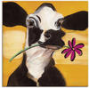 Artland Wandbild "Glückliche Kuh", Haustiere, (1 St.), als Leinwandbild,...