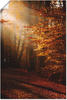 Artland Wandbild "Sonnenaufgang im Herbst", Wald, (1 St.), als Leinwandbild,...