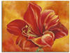 Wandbild ARTLAND "Amaryllis" Bilder Gr. B/H: 80 cm x 60 cm, Leinwandbild...