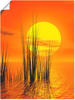 Artland Wandbild "Sonnenuntergang mit Schilf", Sonnenaufgang & -untergang, (1...