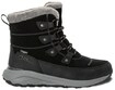 Jack Wolfskin Winterboots "DROMOVENTURE TEXAPORE HIGH W"